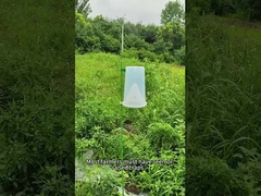 تله آفات تله حشرات چغندر کرم ارتش در ذرت کلم کرم بروکلی تله