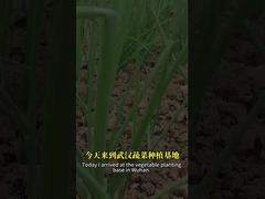 ترکیبی از اسپورهای باسیلس و باکولوویروس می تواند آفت lepidopteran را بهتر کنترل کند