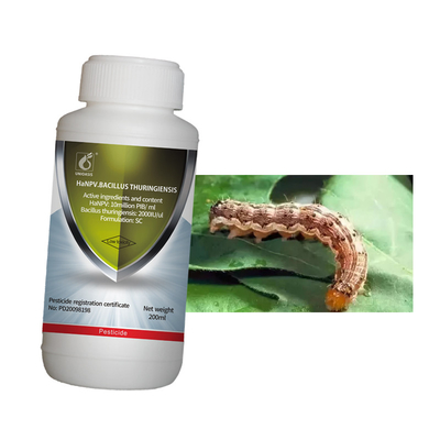 Miraculous effect cotton bollworm killer bio pesticide aircraft spraying HaNPV bacillus thuringiensis