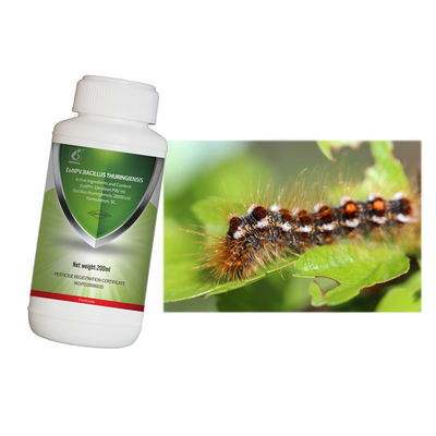 Wholesale China Factory Bacterial Tea Tree Insecticide Caterpillar Killer No Pesticide Residue