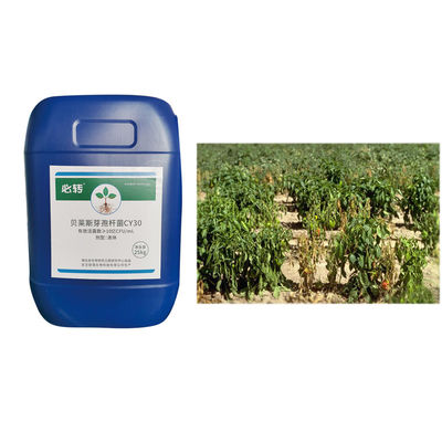 Bacillus velezensis CY30 prevent improve rotten roots dead plants stiff seedlings yellowing 
