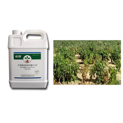 Leaf Spray Low Cost Bacillus Velezensis Viable Bacteria Disease Prevention Microbial Agent